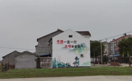 正阳新农村墙绘